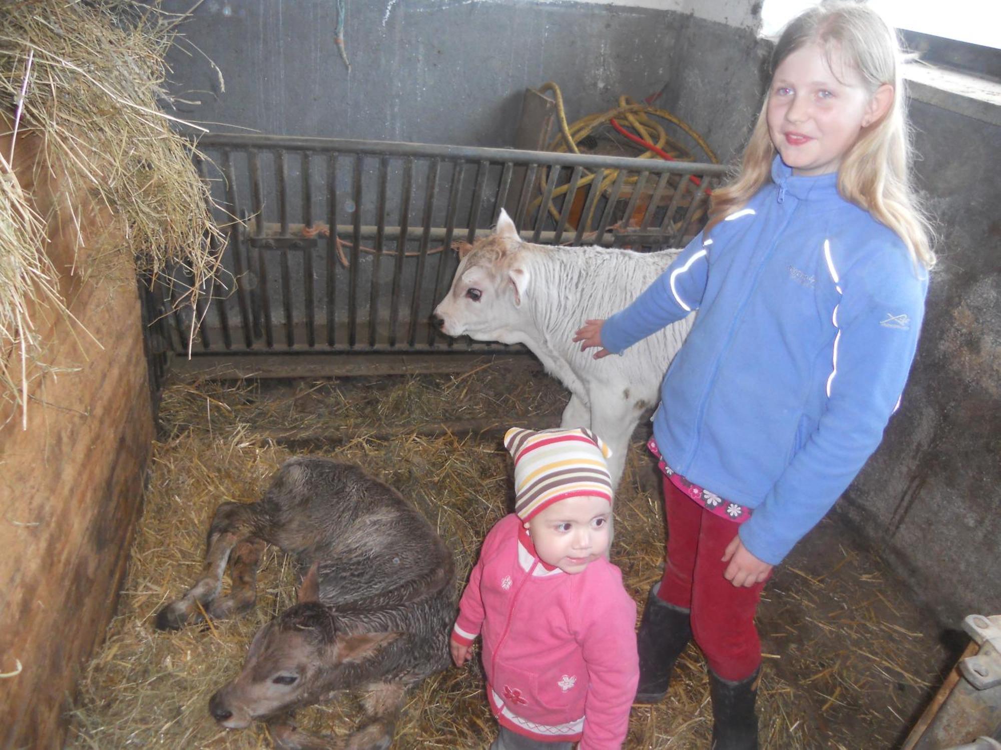 Hanserhof Zell am Ziller Luaran gambar