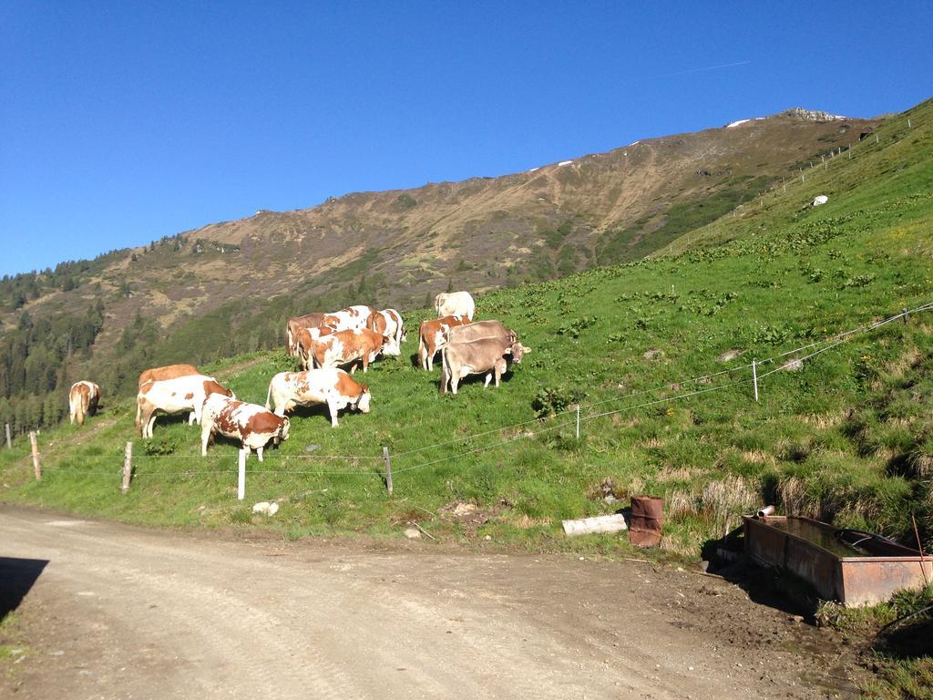 Hanserhof Zell am Ziller Luaran gambar